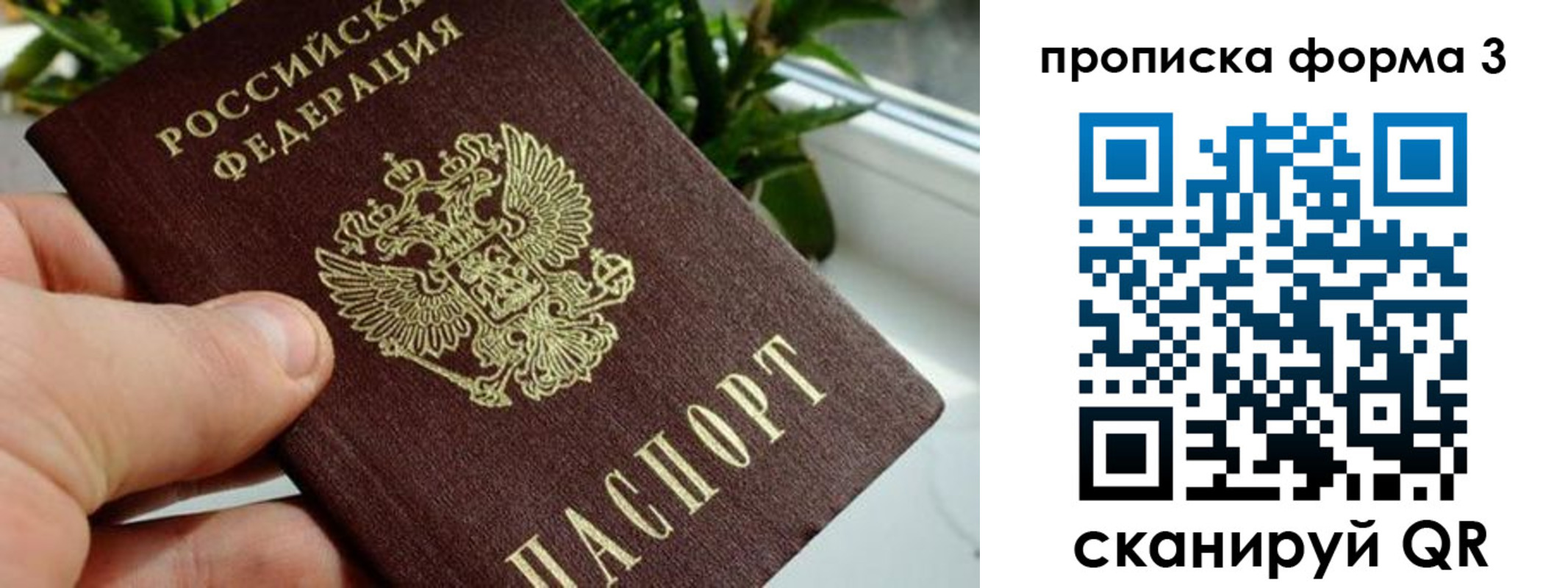 купить прописку в Калуге